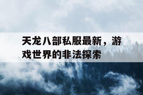 天龙八部私服最新，游戏世界的非法探索