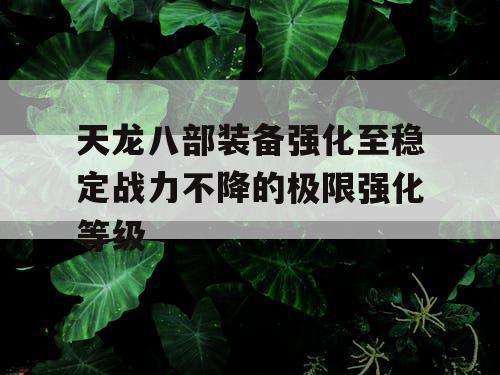 天龙八部装备强化至稳定战力不降的极限强化等级