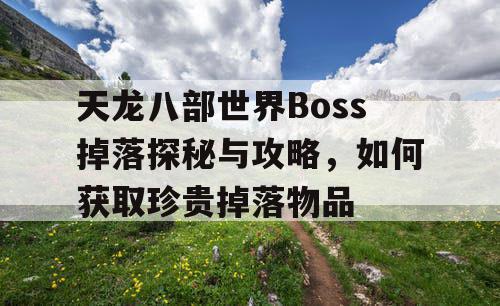 天龙八部世界Boss掉落探秘与攻略	，如何获取珍贵掉落物品