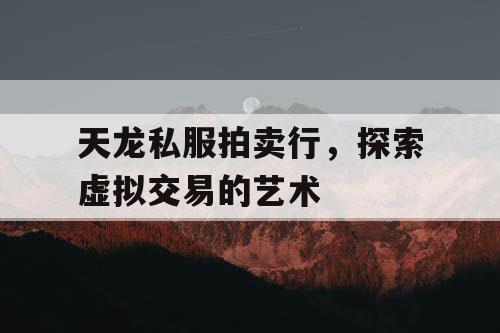 天龙私服拍卖行，探索虚拟交易的艺术