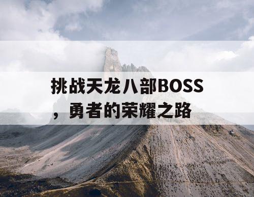 挑战天龙八部BOSS，勇者的荣耀之路