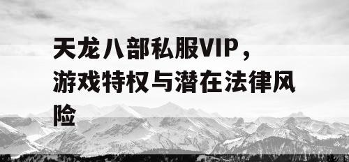 天龙八部私服VIP，游戏特权与潜在法律风险