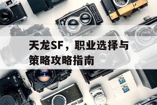 天龙SF	，职业选择与策略攻略指南