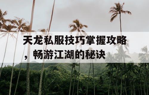 天龙私服技巧掌握攻略，畅游江湖的秘诀