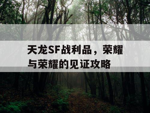 天龙SF战利品，荣耀与荣耀的见证攻略