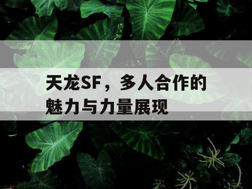 天龙SF	，多人合作的魅力与力量展现