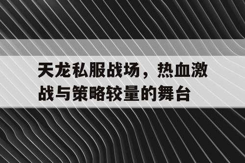 天龙私服战场，热血激战与策略较量的舞台