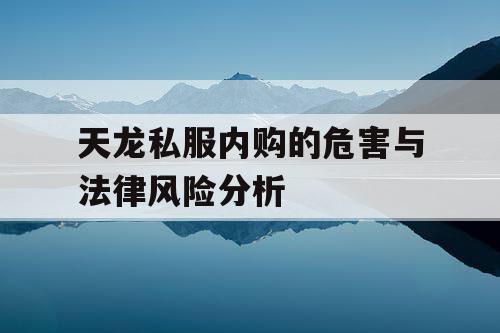 天龙私服内购的危害与法律风险分析