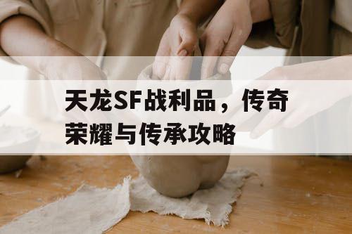 天龙SF战利品	，传奇荣耀与传承攻略