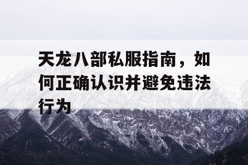 天龙八部私服指南，如何正确认识并避免违法行为