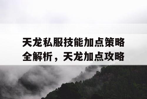 天龙私服技能加点策略全解析，天龙加点攻略