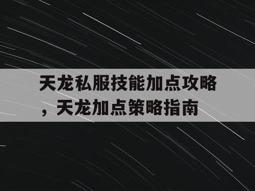 天龙私服技能加点攻略，天龙加点策略指南