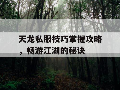 天龙私服技巧掌握攻略，畅游江湖的秘诀