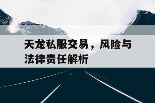 天龙私服交易，风险与法律责任解析