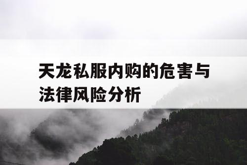 天龙私服内购的危害与法律风险分析