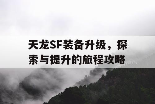 天龙SF装备升级，探索与提升的旅程攻略