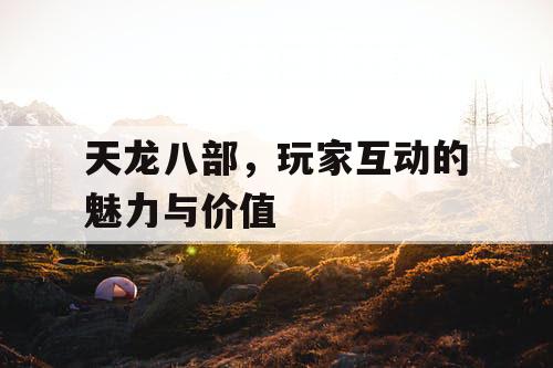 天龙八部，玩家互动的魅力与价值