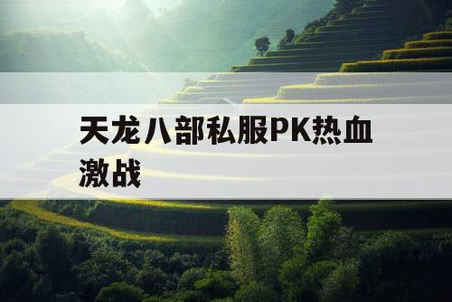 天龙八部私服PK热血激战