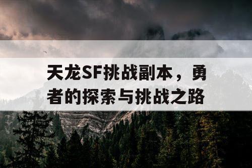 天龙SF挑战副本，勇者的探索与挑战之路