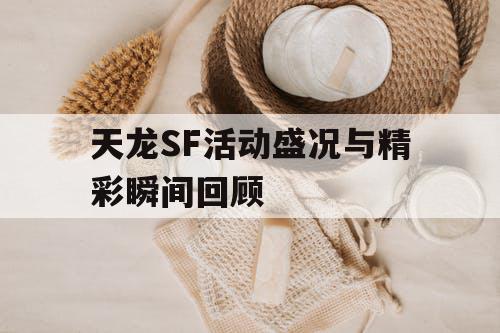 天龙SF活动盛况与精彩瞬间回顾