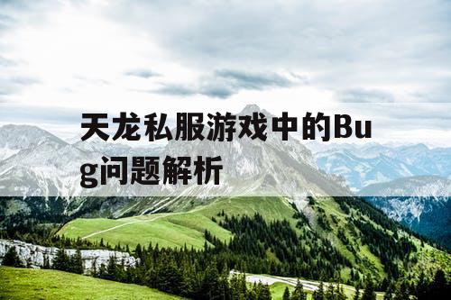 天龙私服游戏中的Bug问题解析