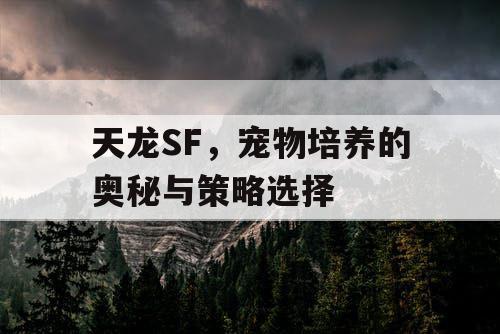 天龙SF，宠物培养的奥秘与策略选择