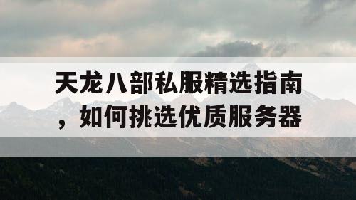 天龙八部私服精选指南，如何挑选优质服务器