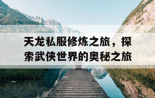 天龙私服修炼之旅，探索武侠世界的奥秘之旅