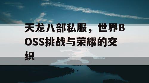 天龙八部私服，世界BOSS挑战与荣耀的交织