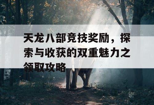 天龙八部竞技奖励，探索与收获的双重魅力之领取攻略