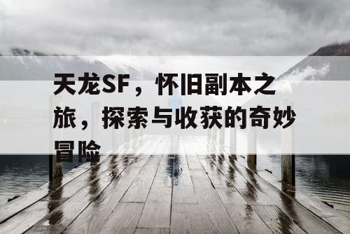 天龙SF，怀旧副本之旅，探索与收获的奇妙冒险