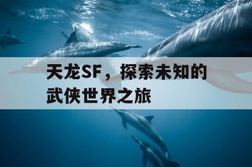 天龙SF，探索未知的武侠世界之旅