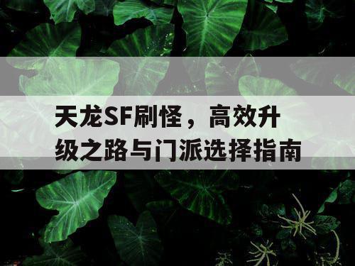 天龙SF刷怪，高效升级之路与门派选择指南