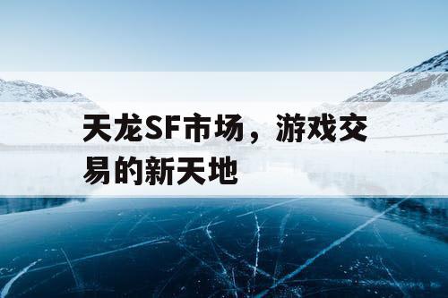 天龙SF市场，游戏交易的新天地