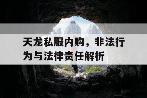 天龙私服内购，非法行为与法律责任解析