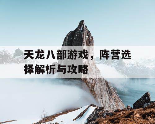 天龙八部游戏，阵营选择解析与攻略