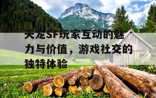 天龙SF玩家互动的魅力与价值，游戏社交的独特体验