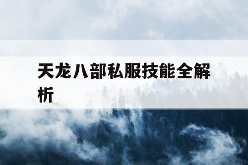 天龙八部私服技能全解析