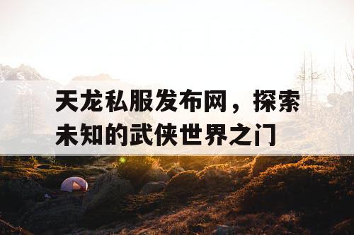 天龙私服发布网，探索未知的武侠世界之门