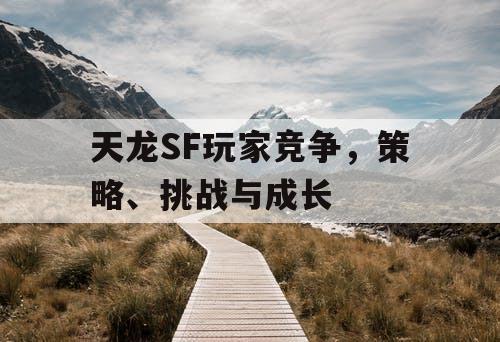 天龙SF玩家竞争，策略、挑战与成长