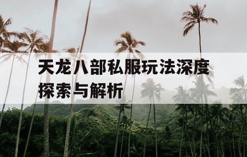 天龙八部私服玩法深度探索与解析