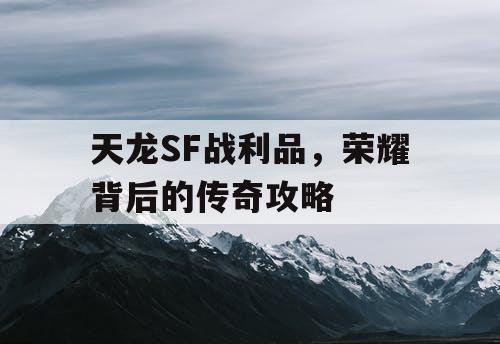 天龙SF战利品，荣耀背后的传奇攻略