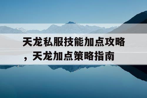 天龙私服技能加点攻略，天龙加点策略指南