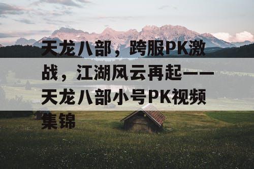 天龙八部，跨服PK激战，江湖风云再起——天龙八部小号PK视频集锦