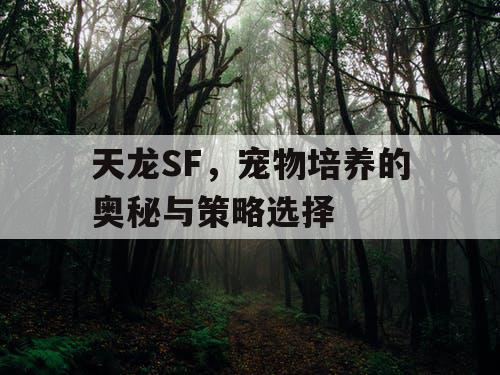 天龙SF，宠物培养的奥秘与策略选择