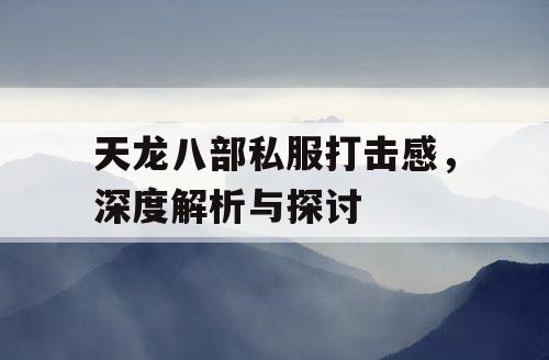 天龙八部私服打击感，深度解析与探讨