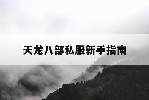 天龙八部私服新手指南