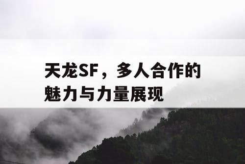 天龙SF，多人合作的魅力与力量展现