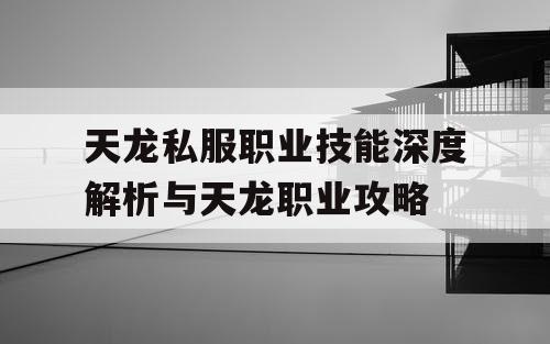 天龙私服职业技能深度解析与天龙职业攻略