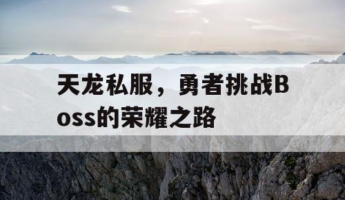 天龙私服，勇者挑战Boss的荣耀之路